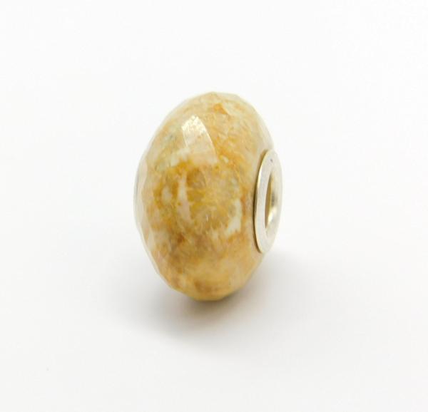 Fossile coral - EdelELB